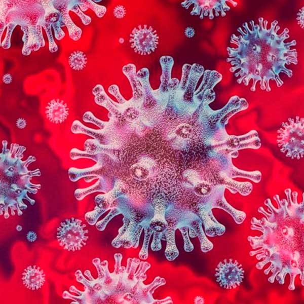 estado de alarma por el coronavirus