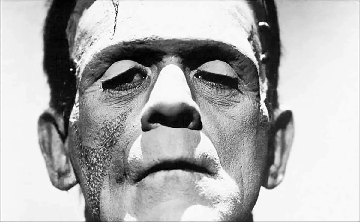 Google Discover ya es un algoritmo Frankenstein 1 Google Discover ya es un algoritmo Frankenstein 1