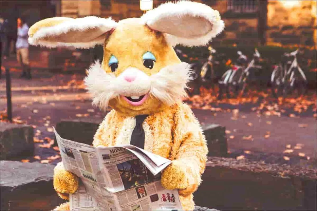 Por Qué Google Discover se desconecta de tus noticias