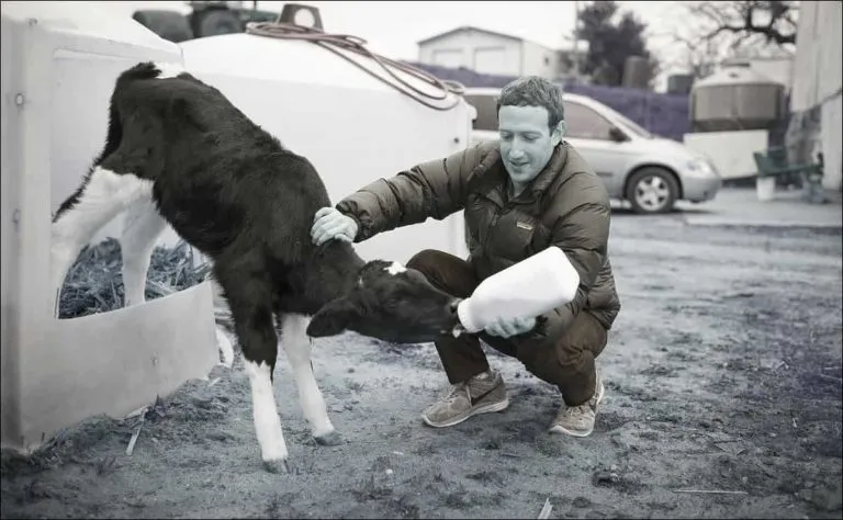 Facebook crea una nueva pestaña al margen de su algoritmo